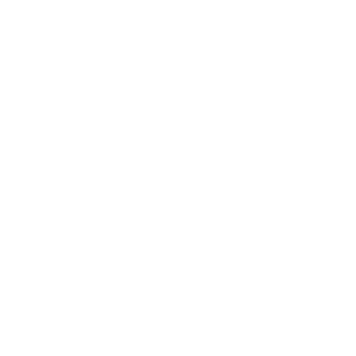 ISO 45003